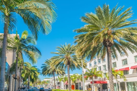 Palm trees on Rodeo Drive in Los Angeles