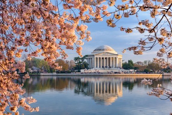 Jefferson Memorial and cherry blossoms in Washington, D.C.