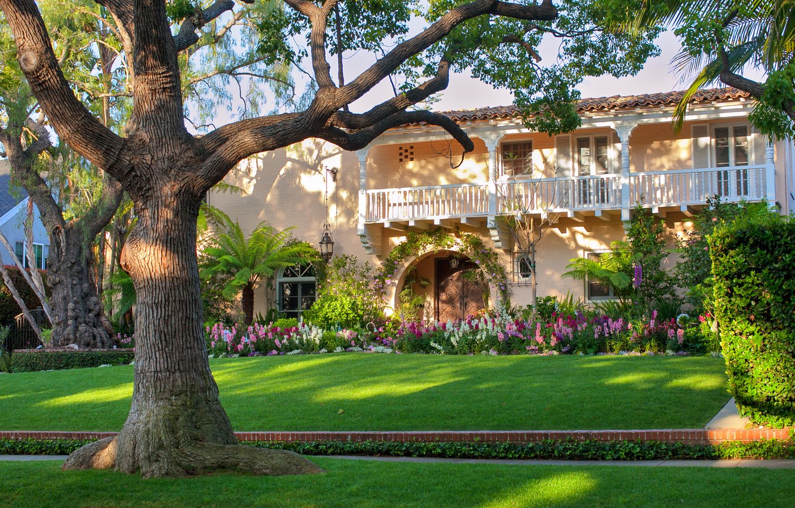 A California house with an oak in the garden